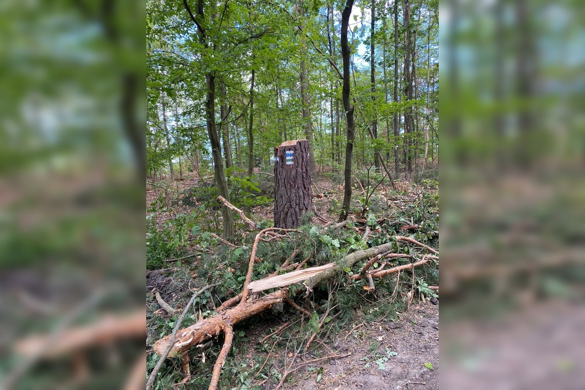 FOTO: Znečistená príroda nad Sliačom, foto 9