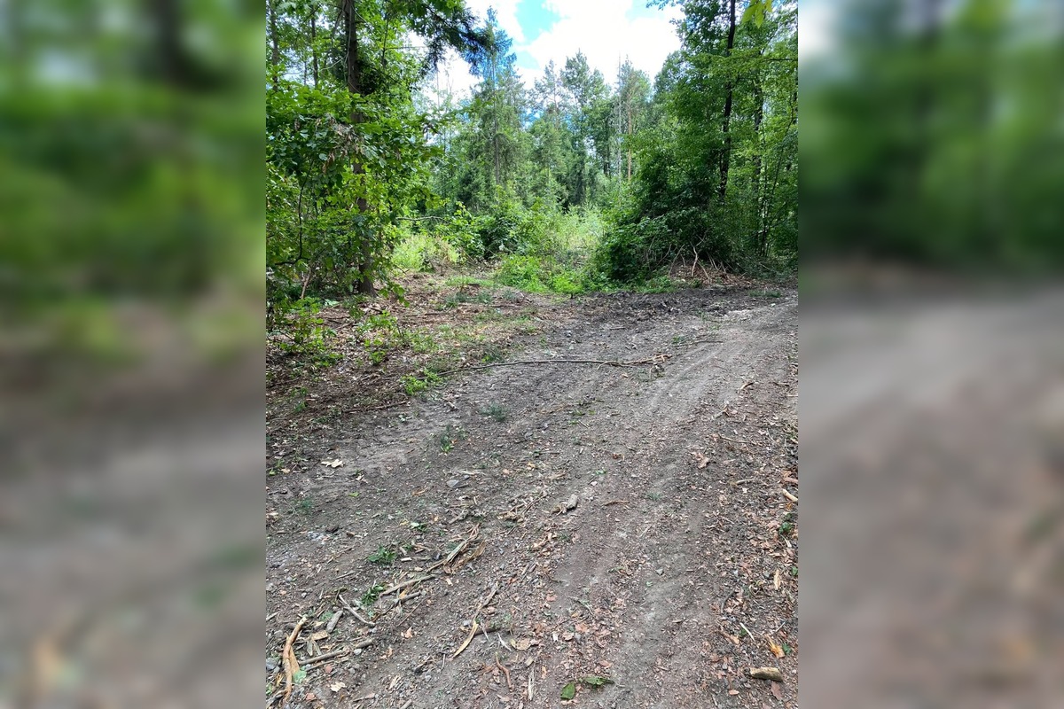 FOTO: Znečistená príroda nad Sliačom, foto 10