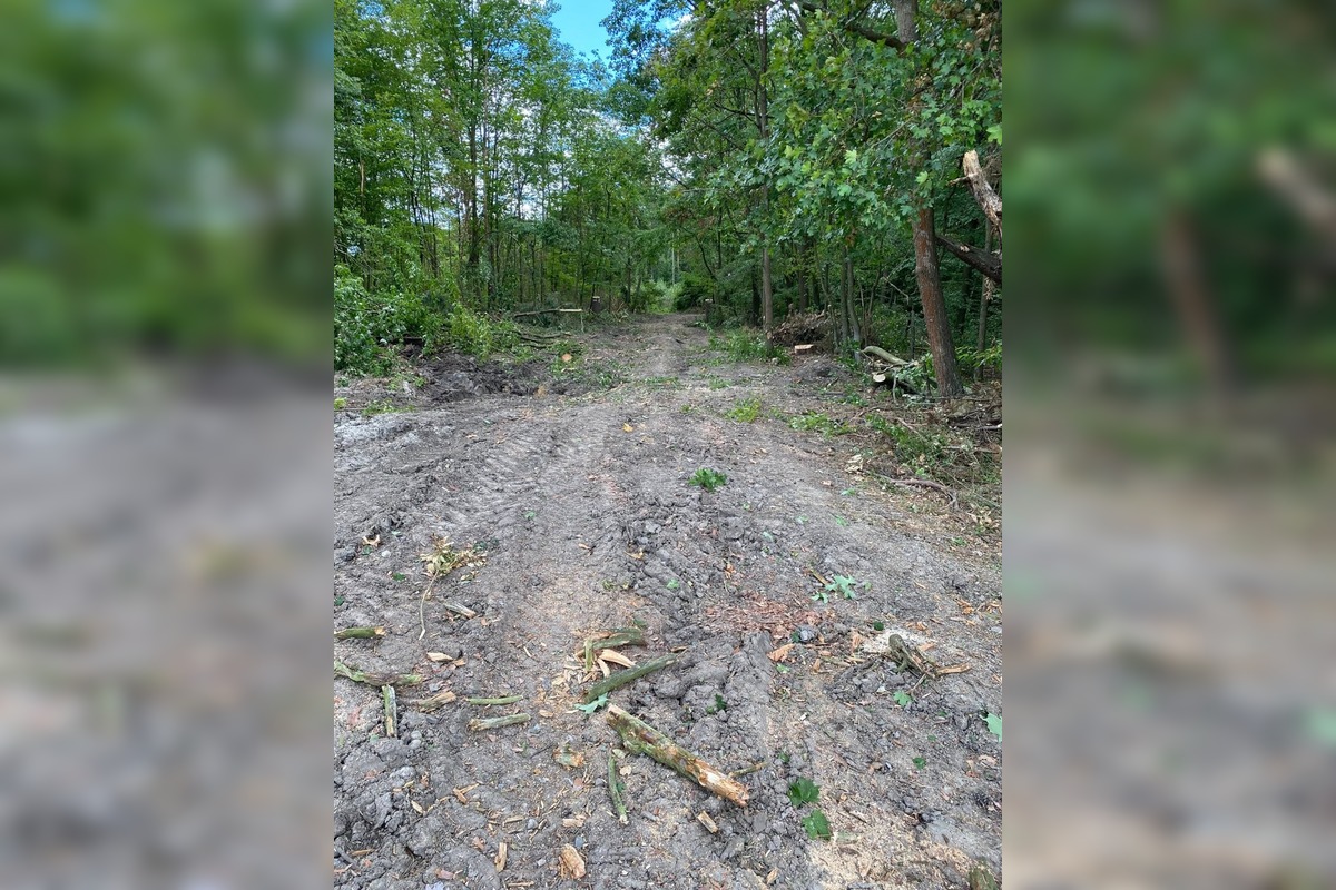 FOTO: Znečistená príroda nad Sliačom, foto 11