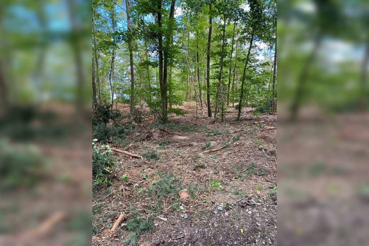 FOTO: Znečistená príroda nad Sliačom, foto 12