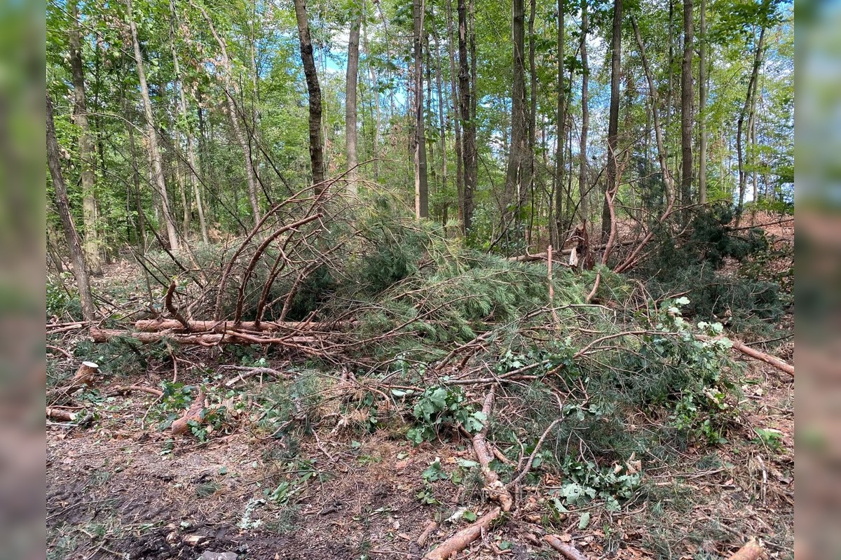 FOTO: Znečistená príroda nad Sliačom, foto 15