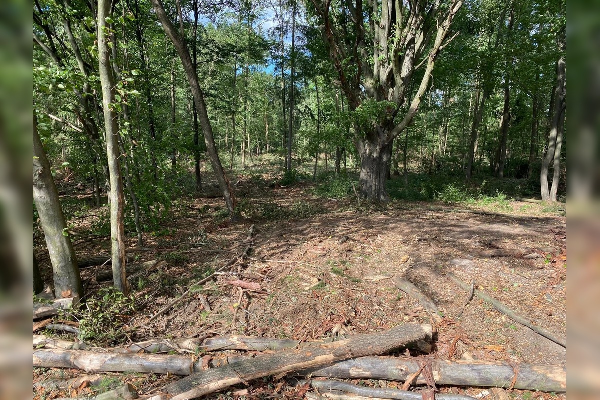 FOTO: Znečistená príroda nad Sliačom, foto 16