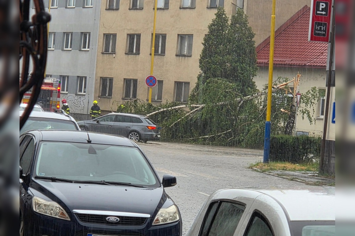 FOTO: Zvolenom sa zrejme prehnal downburst, vyvalil a zlomil niekoľko stromov, foto 1