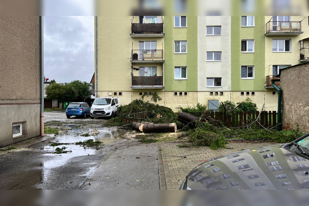 FOTO: Zvolenom sa zrejme prehnal downburst, vyvalil a zlomil niekoľko stromov, foto 2