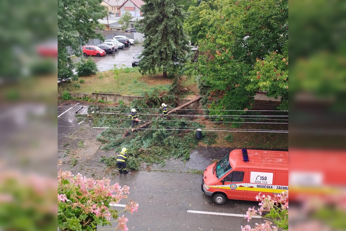 FOTO: Zvolenom sa zrejme prehnal downburst, vyvalil a zlomil niekoľko stromov, foto 3