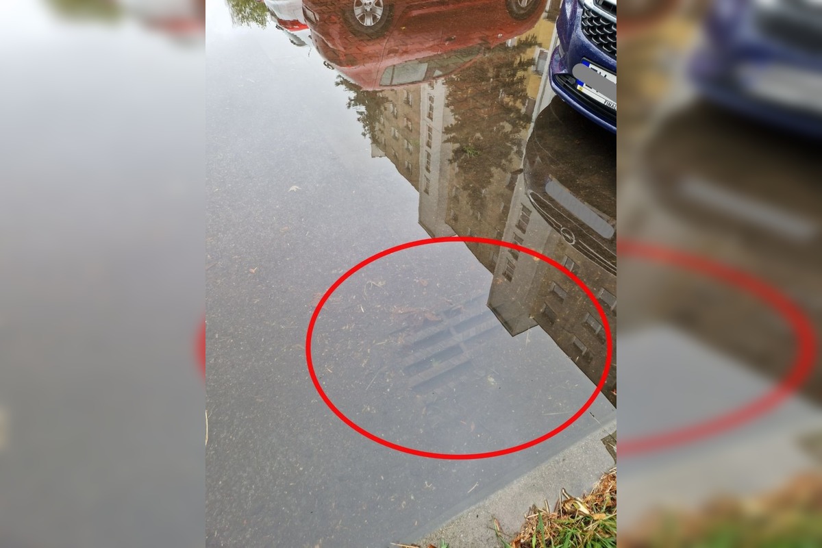 FOTO: Rekonštruovaná cesta vo Zvolene má problémy s odvodnením, foto 5