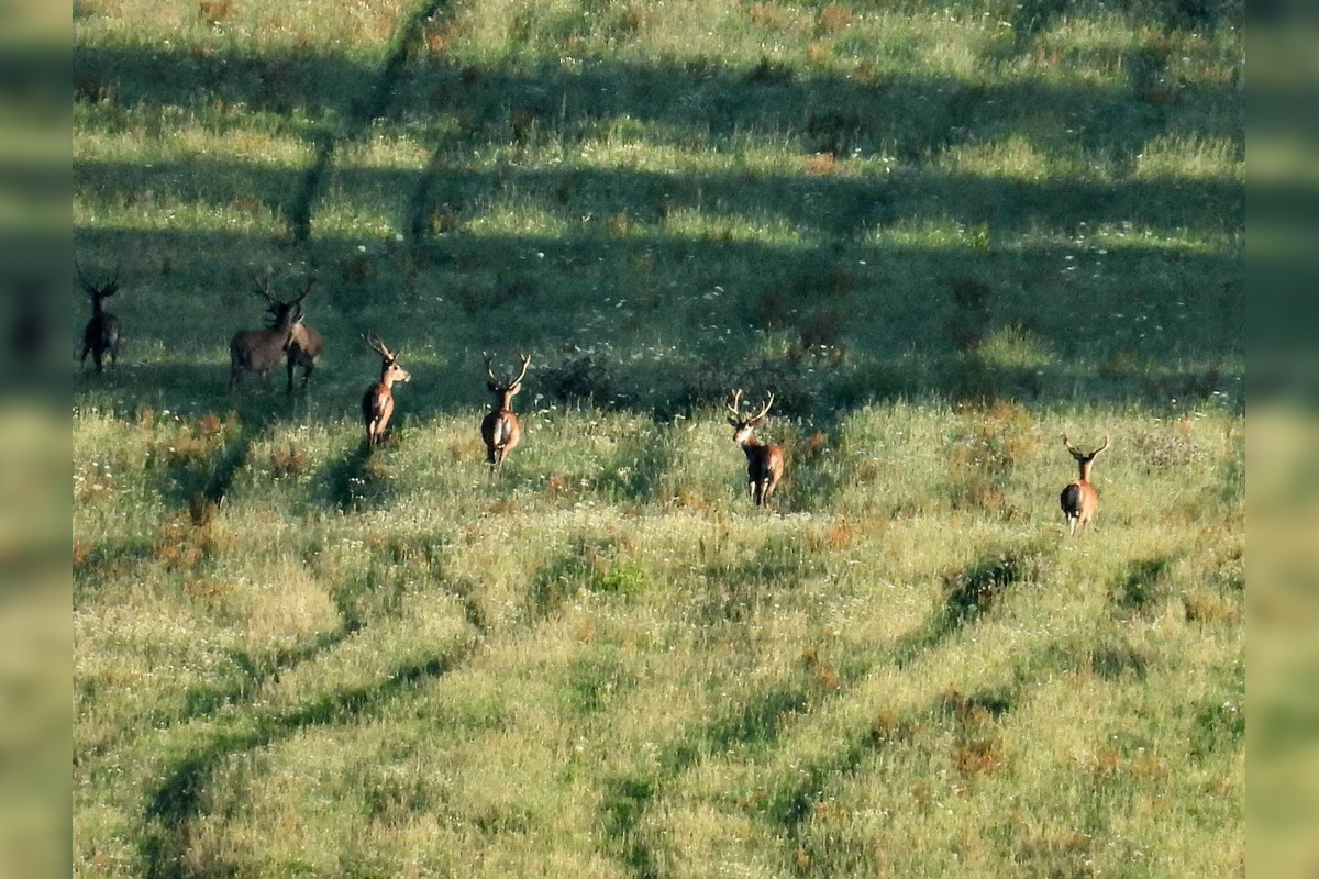 FOTO: Krajšie zábery dnes neuvidíte. Muž vyfotil na Horehroní tieto zábery, foto 4
