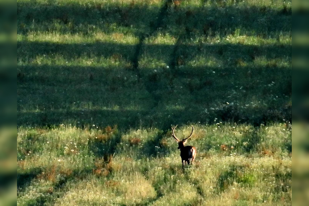 FOTO: Krajšie zábery dnes neuvidíte. Muž vyfotil na Horehroní tieto zábery, foto 5