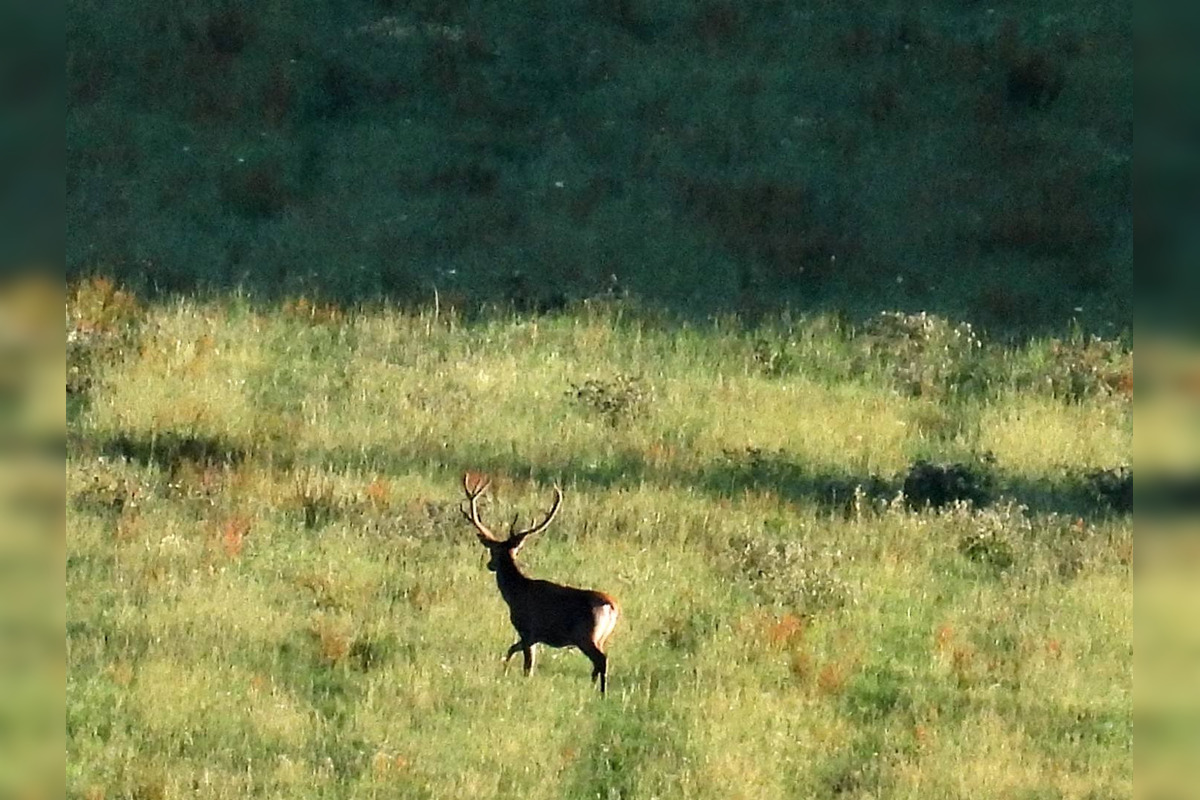 FOTO: Krajšie zábery dnes neuvidíte. Muž vyfotil na Horehroní tieto zábery, foto 6