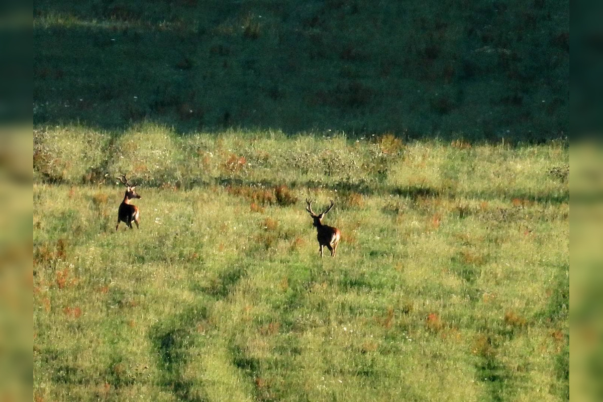 FOTO: Krajšie zábery dnes neuvidíte. Muž vyfotil na Horehroní tieto zábery, foto 7