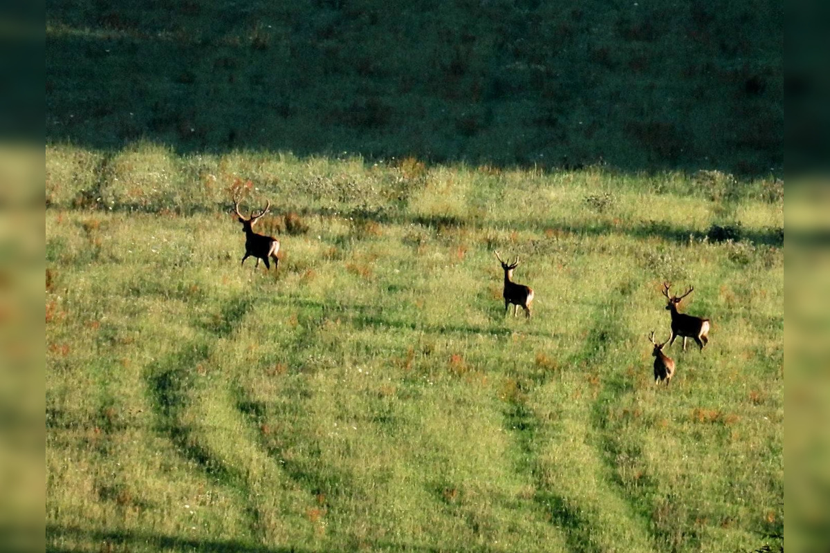 FOTO: Krajšie zábery dnes neuvidíte. Muž vyfotil na Horehroní tieto zábery, foto 8