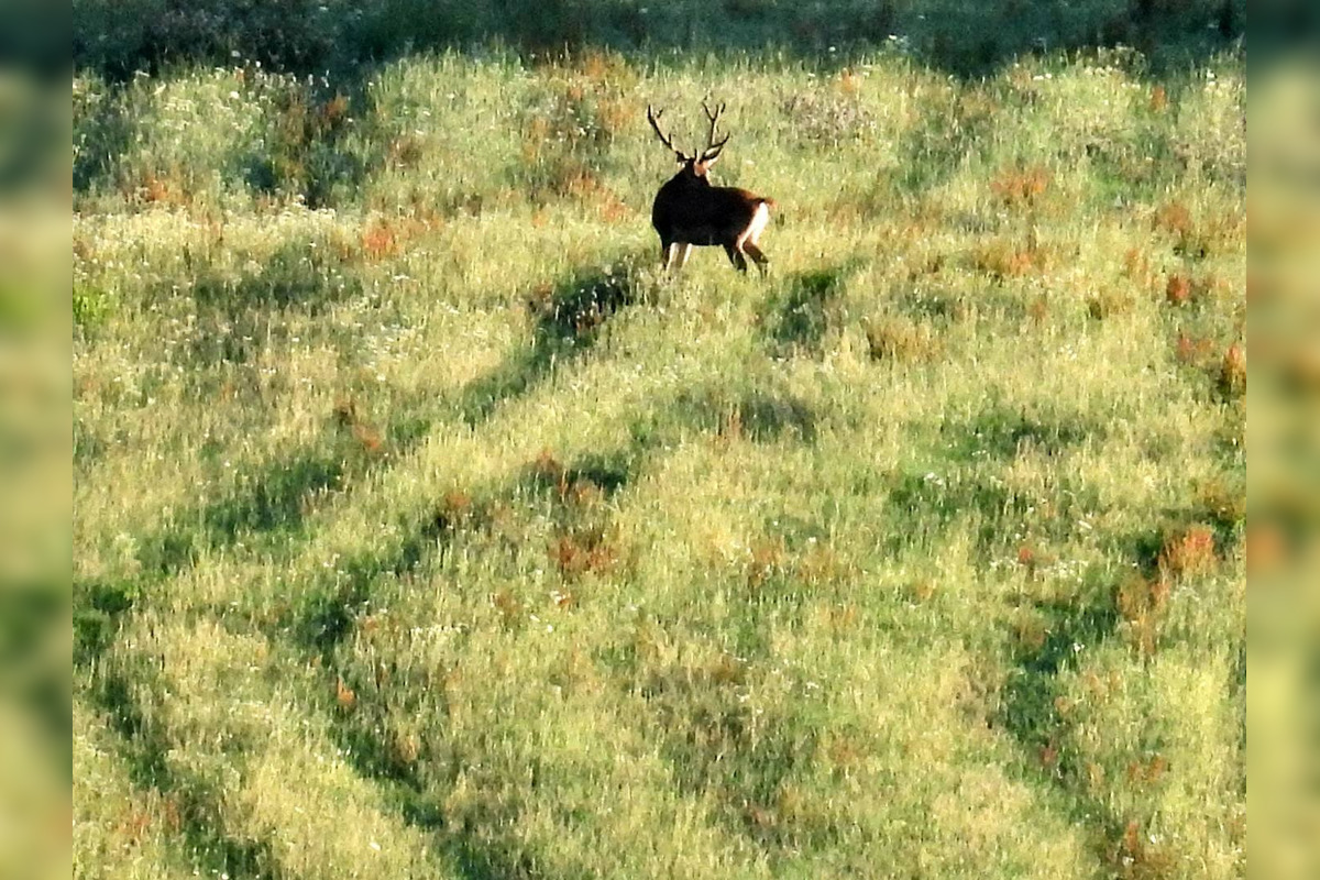 FOTO: Krajšie zábery dnes neuvidíte. Muž vyfotil na Horehroní tieto zábery, foto 9