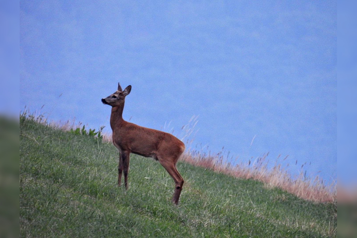 FOTO: Krajšie zábery dnes neuvidíte. Muž vyfotil na Horehroní tieto zábery, foto 11