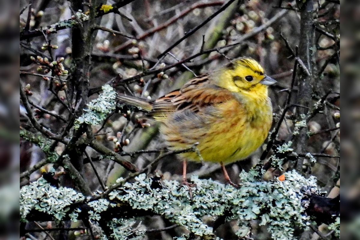 FOTO: Krajšie zábery dnes neuvidíte. Muž vyfotil na Horehroní tieto zábery, foto 26