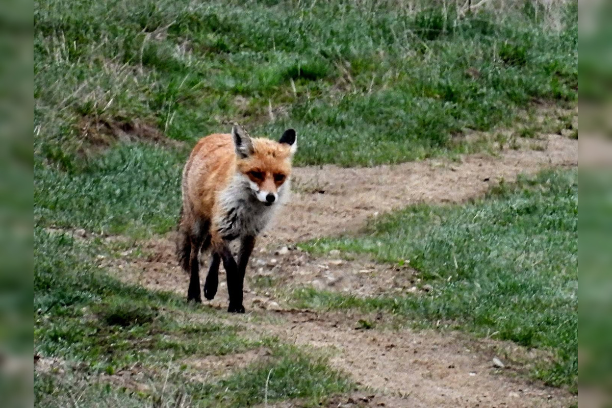 FOTO: Krajšie zábery dnes neuvidíte. Muž vyfotil na Horehroní tieto zábery, foto 27