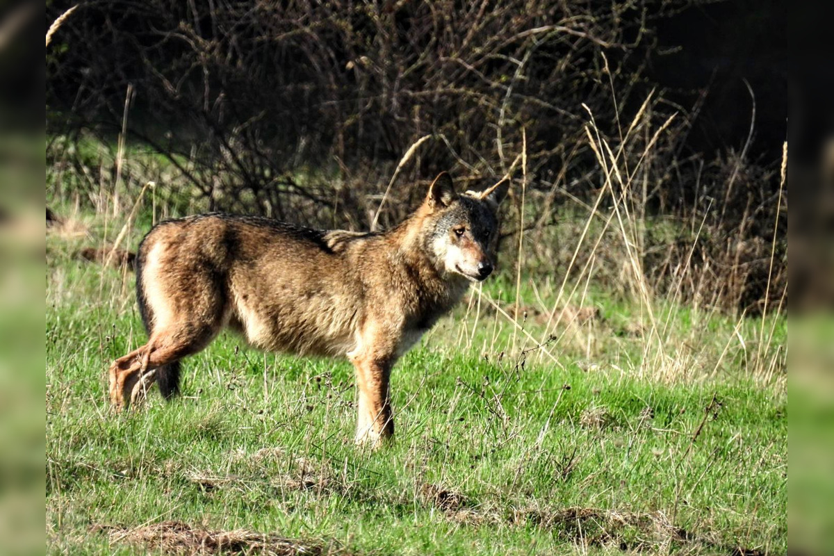 FOTO: Krajšie zábery dnes neuvidíte. Muž vyfotil na Horehroní tieto zábery, foto 29