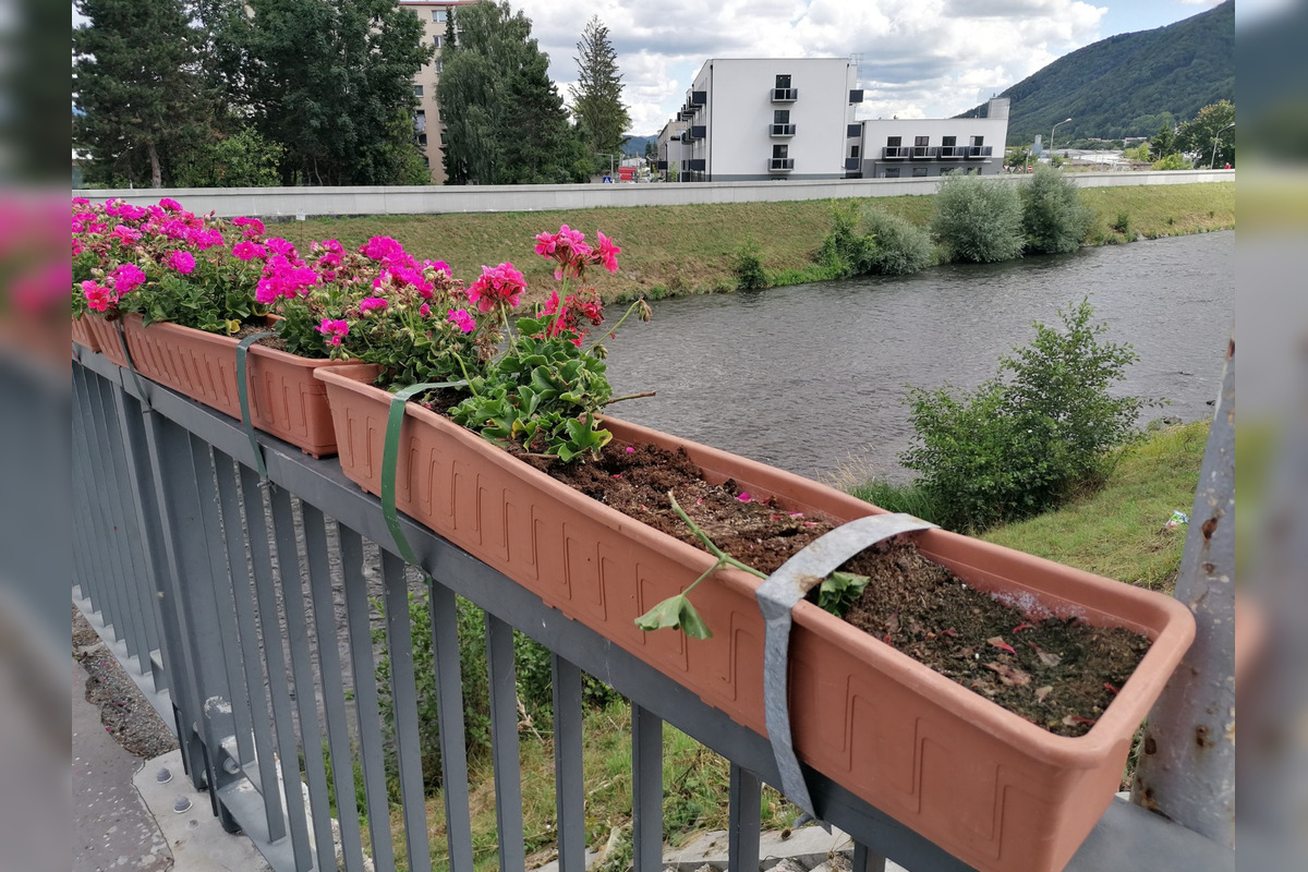 FOTO: Zničené kvetináče na moste v Banskej Bystrici, foto 6