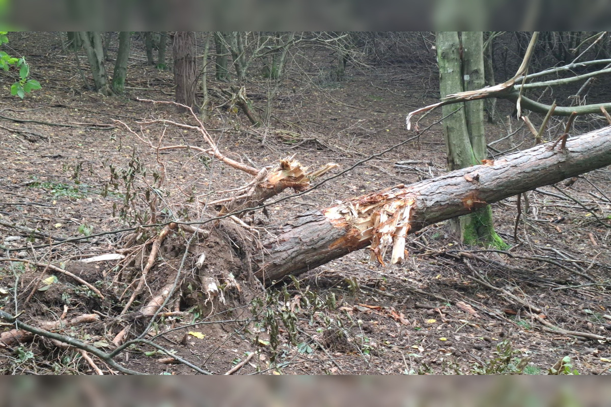 FOTO: Zvolenčania kritizujú prejazd kamiónov pri priehrade, foto 8