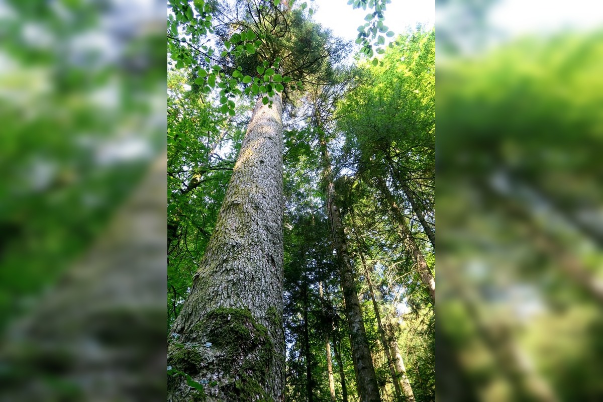 FOTO: Najkrajšie prechádzky v okolí Banskej Bystrice, foto 1