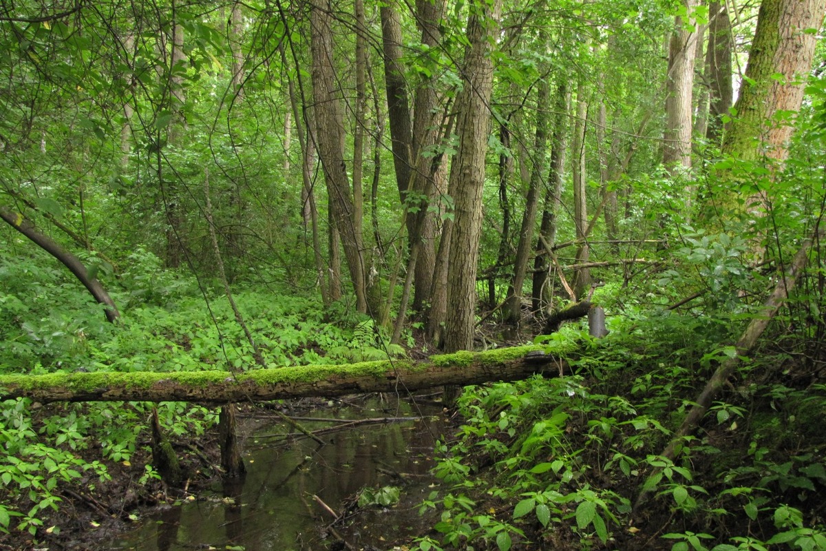 FOTO: Najkrajšie prechádzky v okolí Banskej Bystrice, foto 2