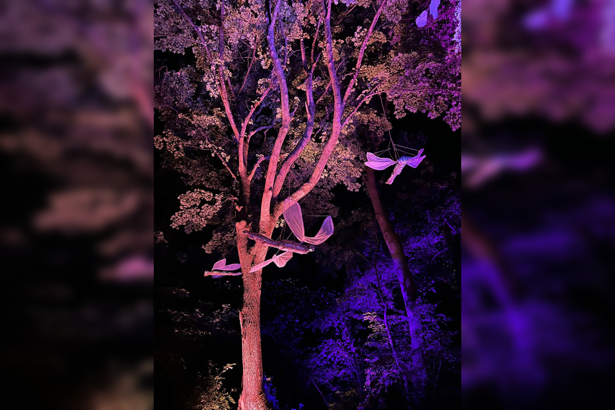 FOTO: Festival Atmosféra 2025, foto 14