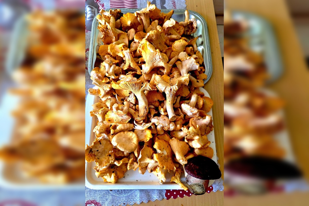 FOTO: Hubárska sezóna v Banskobystrickom kraji sa rozbieha, foto 1