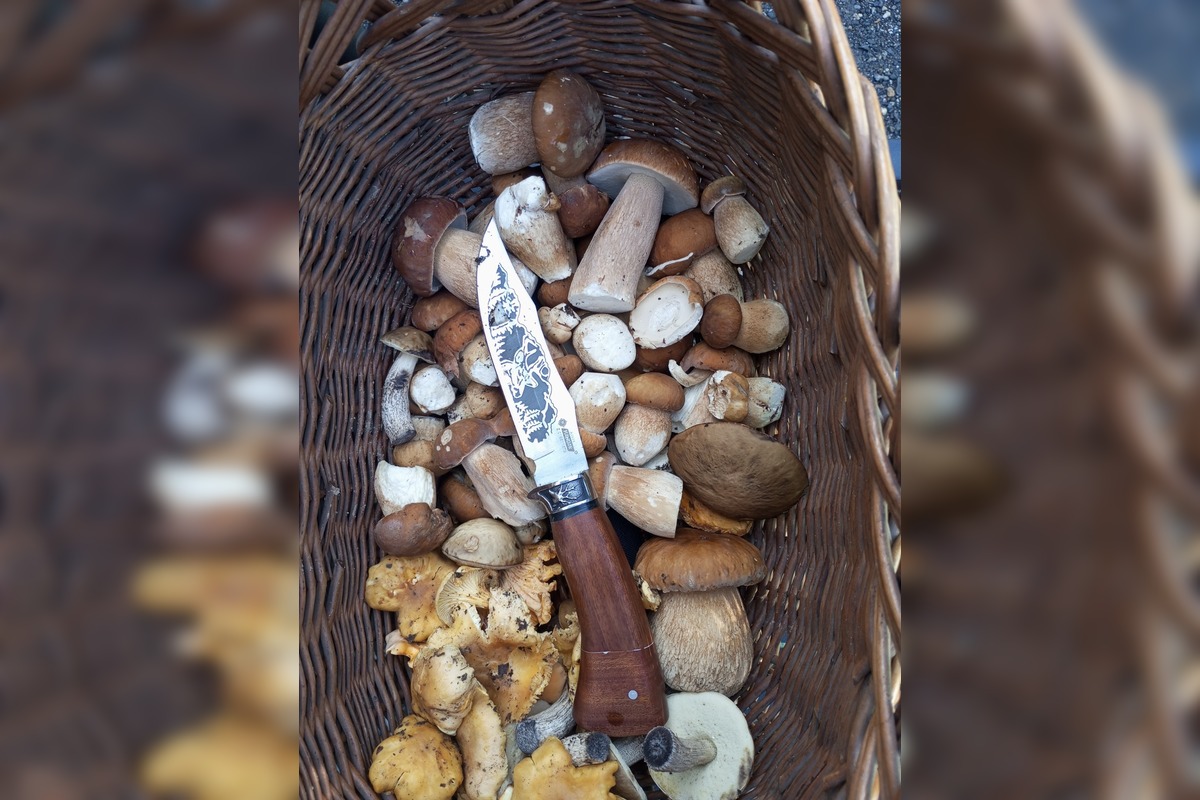 FOTO: Hubárska sezóna v Banskobystrickom kraji sa rozbieha, foto 2