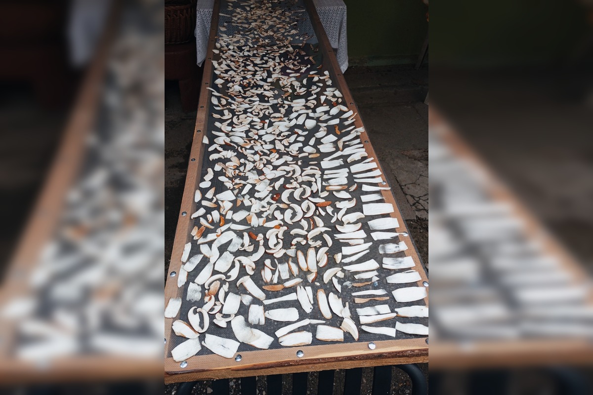 FOTO: Hubárska sezóna v Banskobystrickom kraji sa rozbieha, foto 4