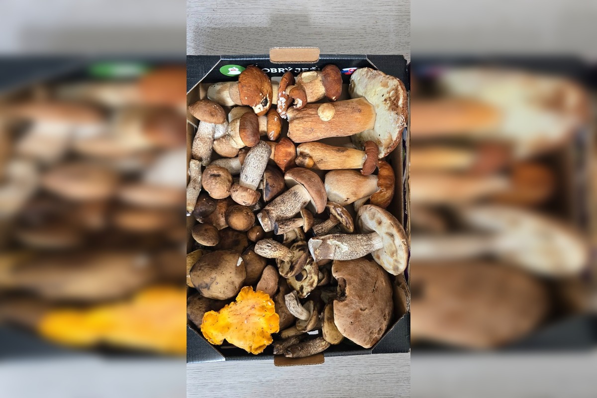 FOTO: Hubárska sezóna v Banskobystrickom kraji sa rozbieha, foto 8