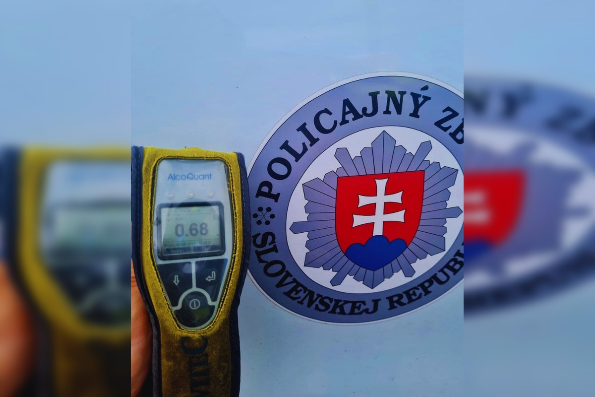 FOTO: Policajná kontrola na železničných priecestiach, foto 2