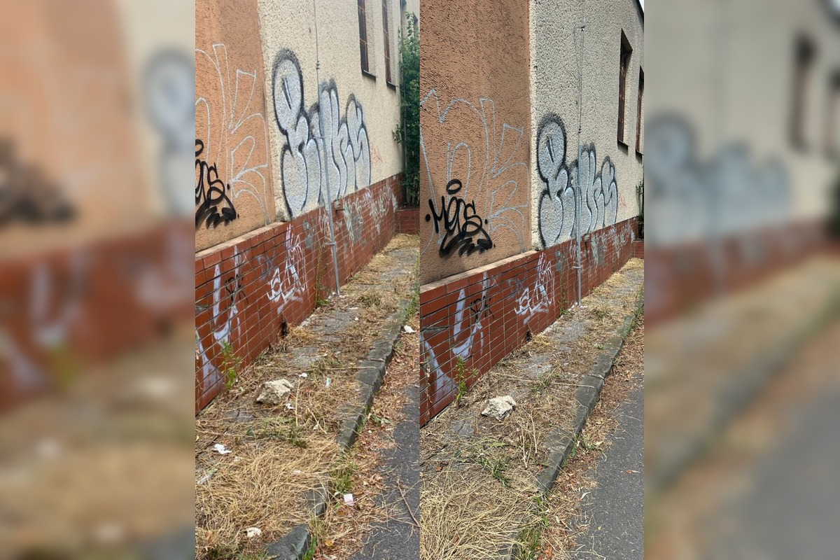 FOTO: Dobrovoľníci čistili Sekier, foto 7