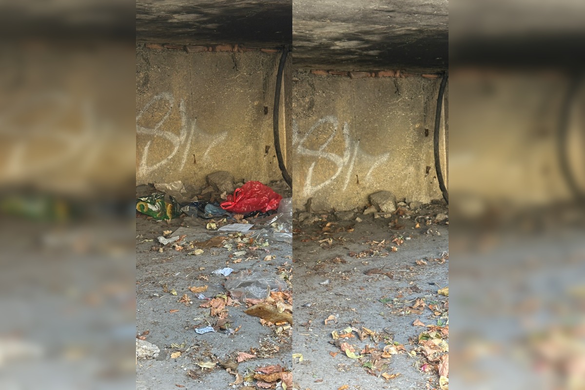 FOTO: Dobrovoľníci čistili Sekier, foto 10