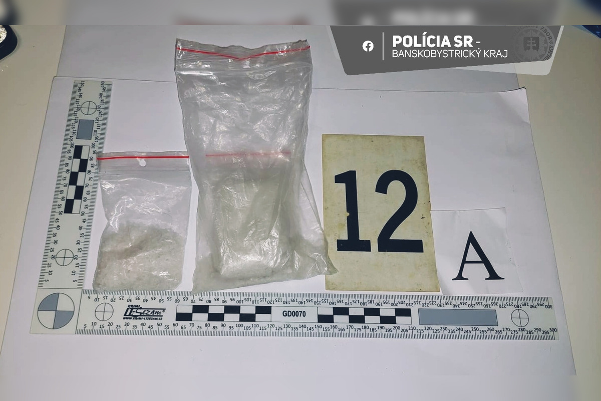 FOTO: Policajná akcia vo Fiľakove, foto 6