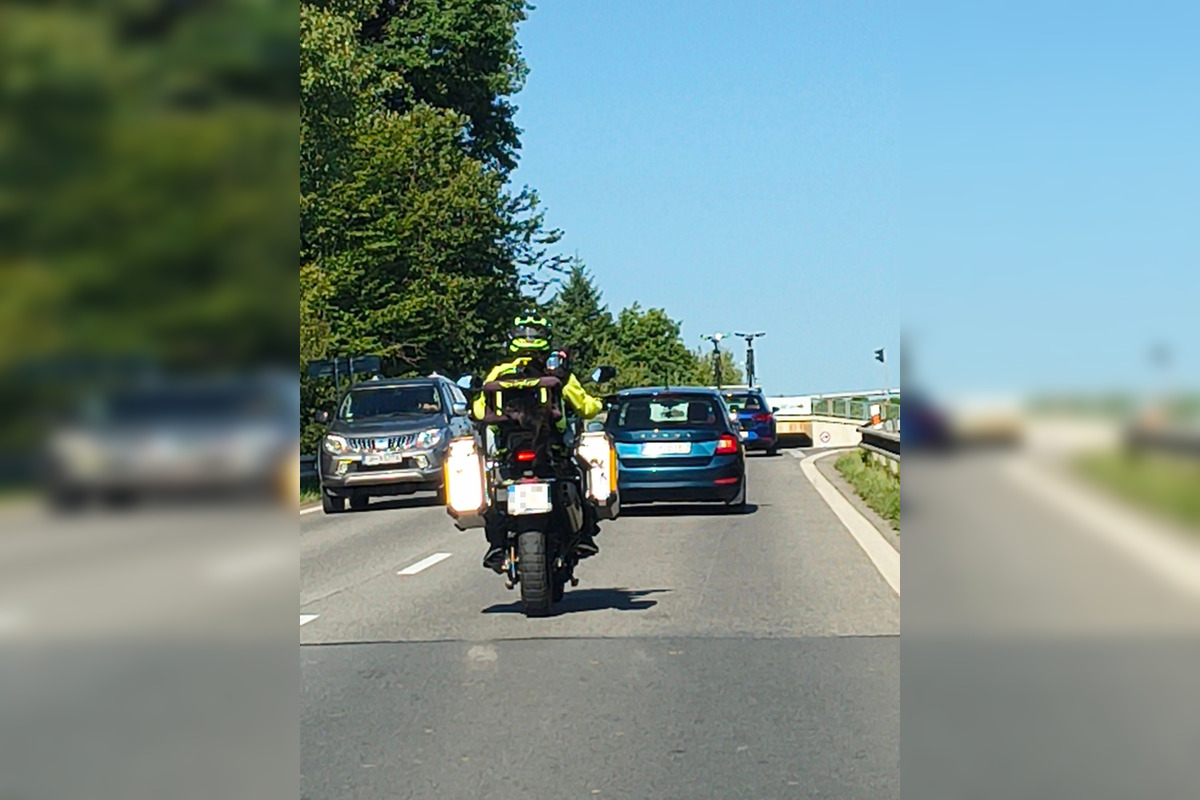 FOTO: Psíkovia na motorkách, foto 2