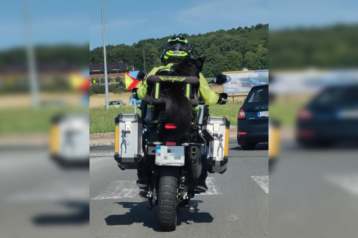 FOTO: Psíkovia na motorkách, foto 5