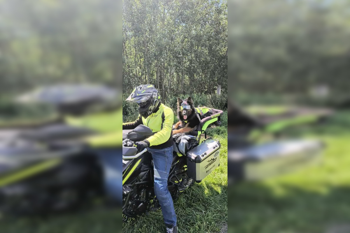 FOTO: Psíkovia na motorkách, foto 7