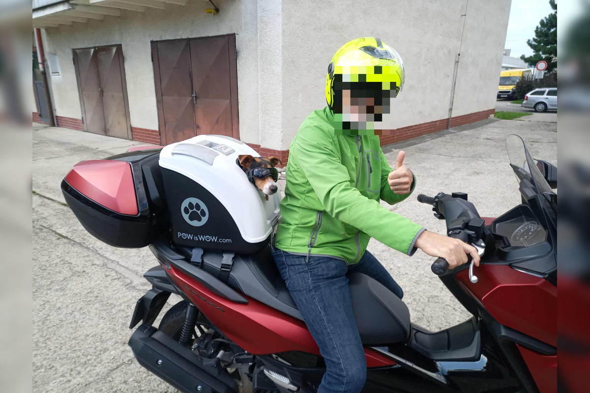 FOTO: Psíkovia na motorkách, foto 8