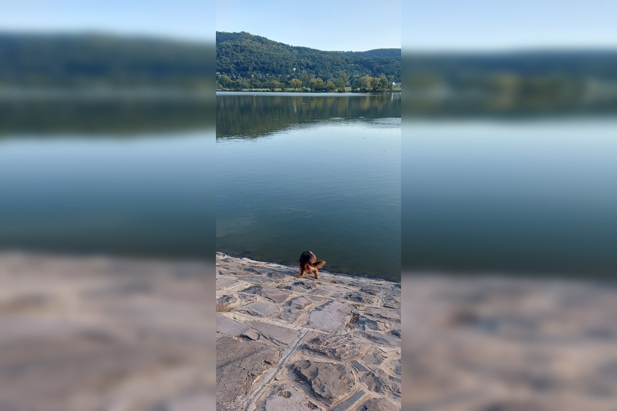 FOTO: Fotografie zvolenskej priehrady, foto 6