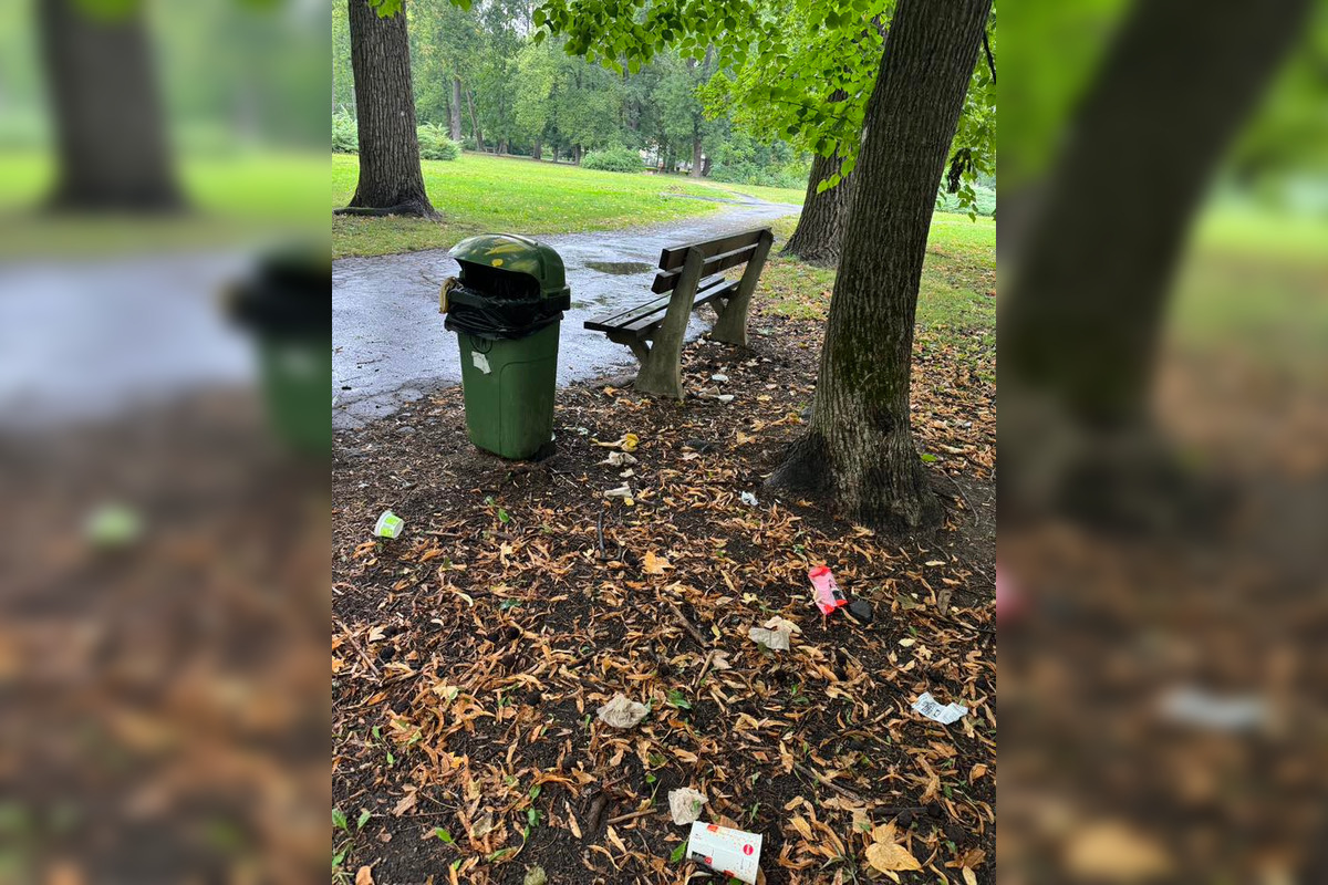 FOTO: Lavičky v mestskom parku sú špinavé a dolámané, sťažujú sa Bystričania, foto 6