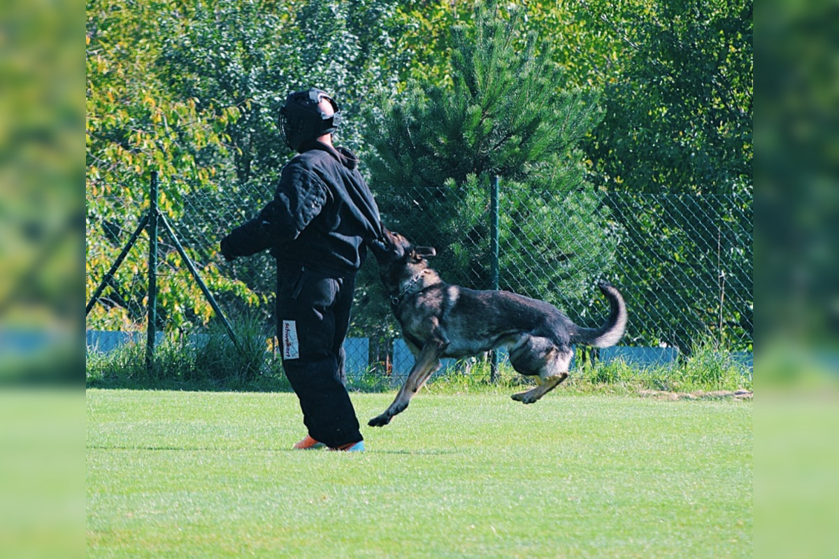 FOTO: Na Kováčovej súťažili psovodi, pozrite si, ako dopadli majstrovstvá kraja v klasickej kynológii, foto 2