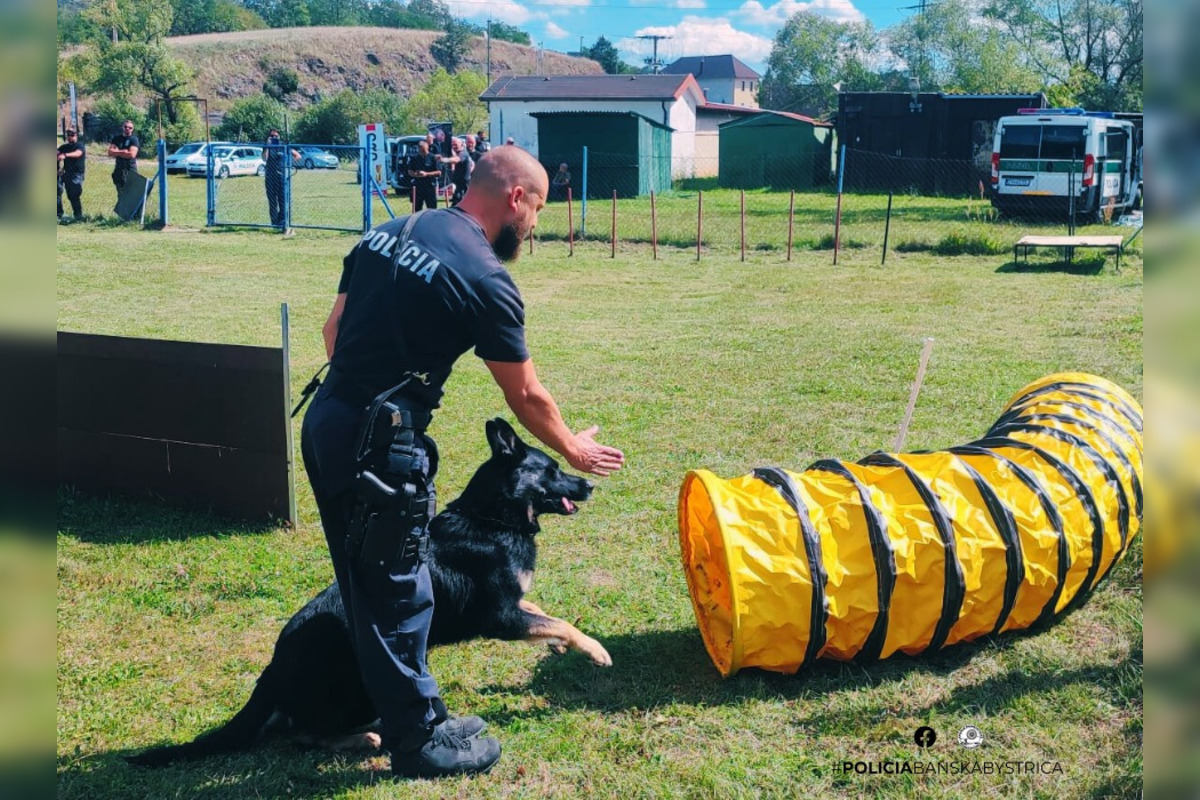 FOTO: Na Kováčovej súťažili psovodi, pozrite si, ako dopadli majstrovstvá kraja v klasickej kynológii, foto 8