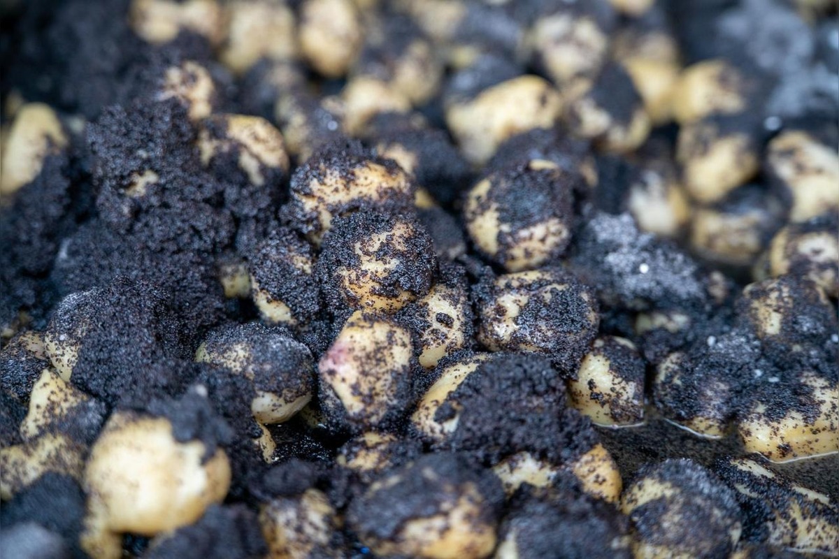 FOTO: Podujatia na najbližší víkend v Banskobystrickom kraji, foto 3