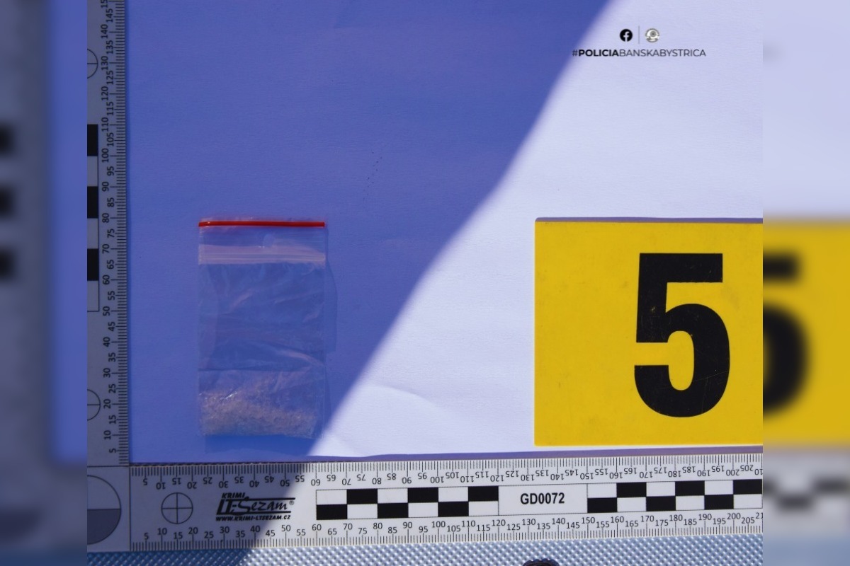 FOTO: Policajná akcia v Rimavskej Sobote, foto 4