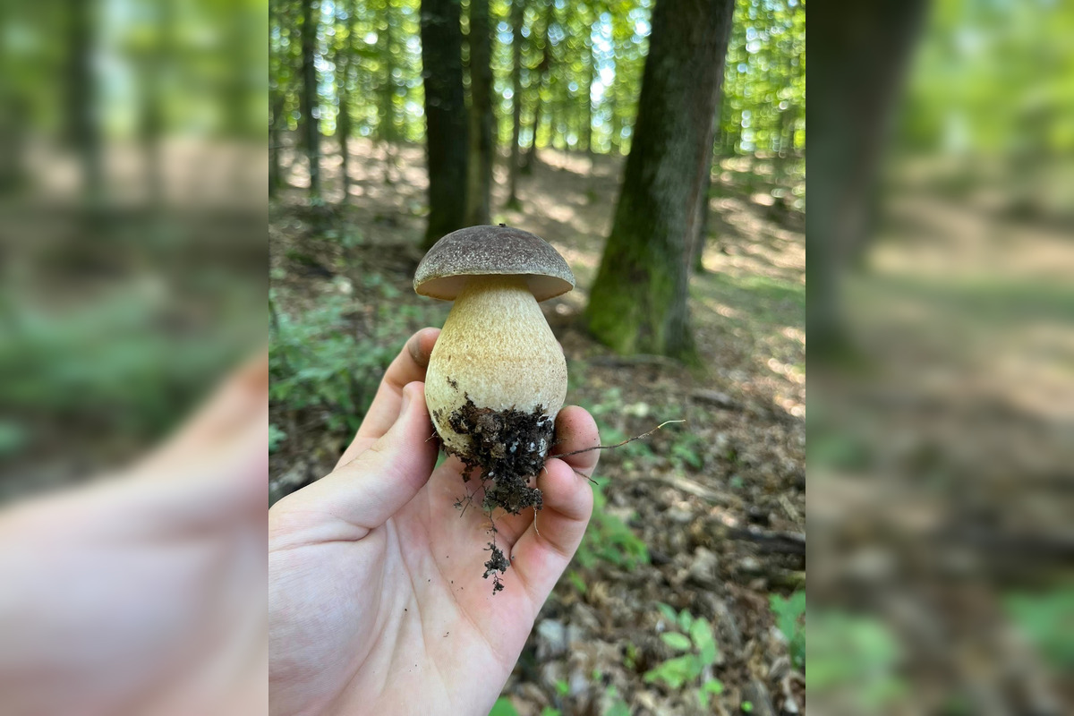 FOTO: Hubári z Banskobystrického kraja sa chvália svojimi úlovkami, foto 4