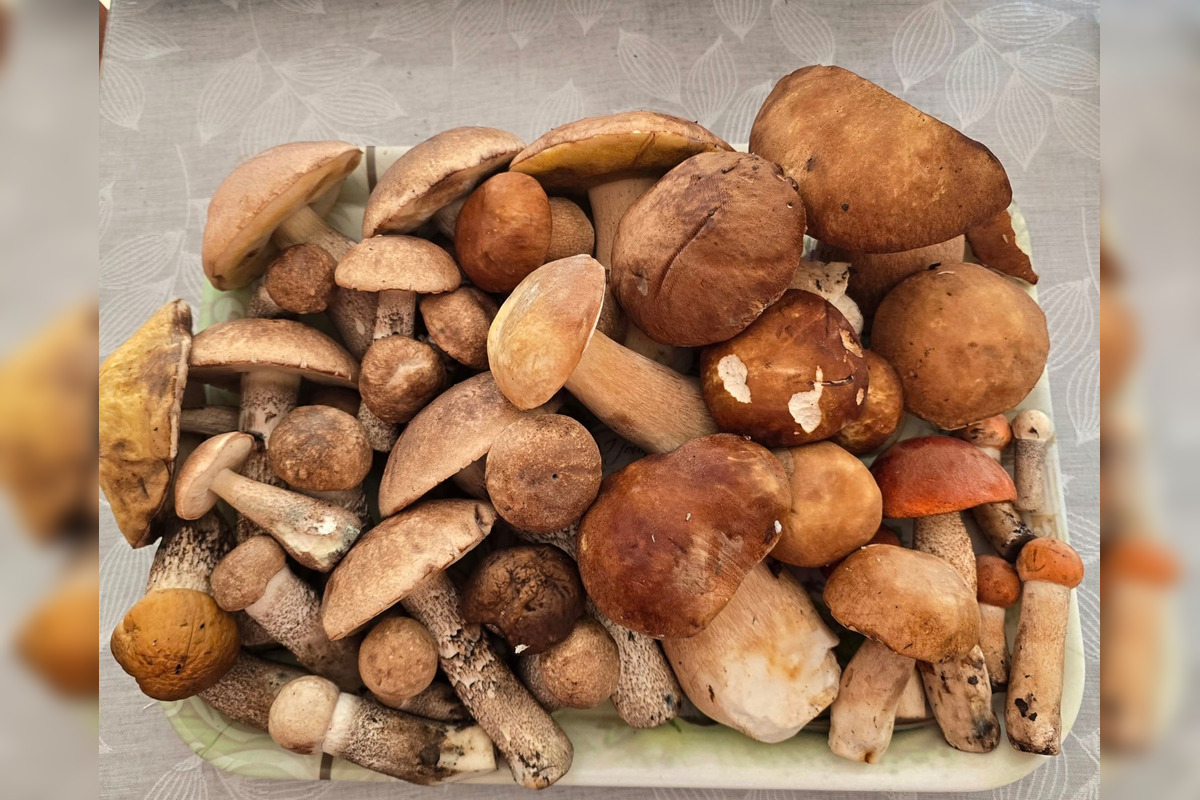 FOTO: Hubári z Banskobystrického kraja sa chvália svojimi úlovkami, foto 14