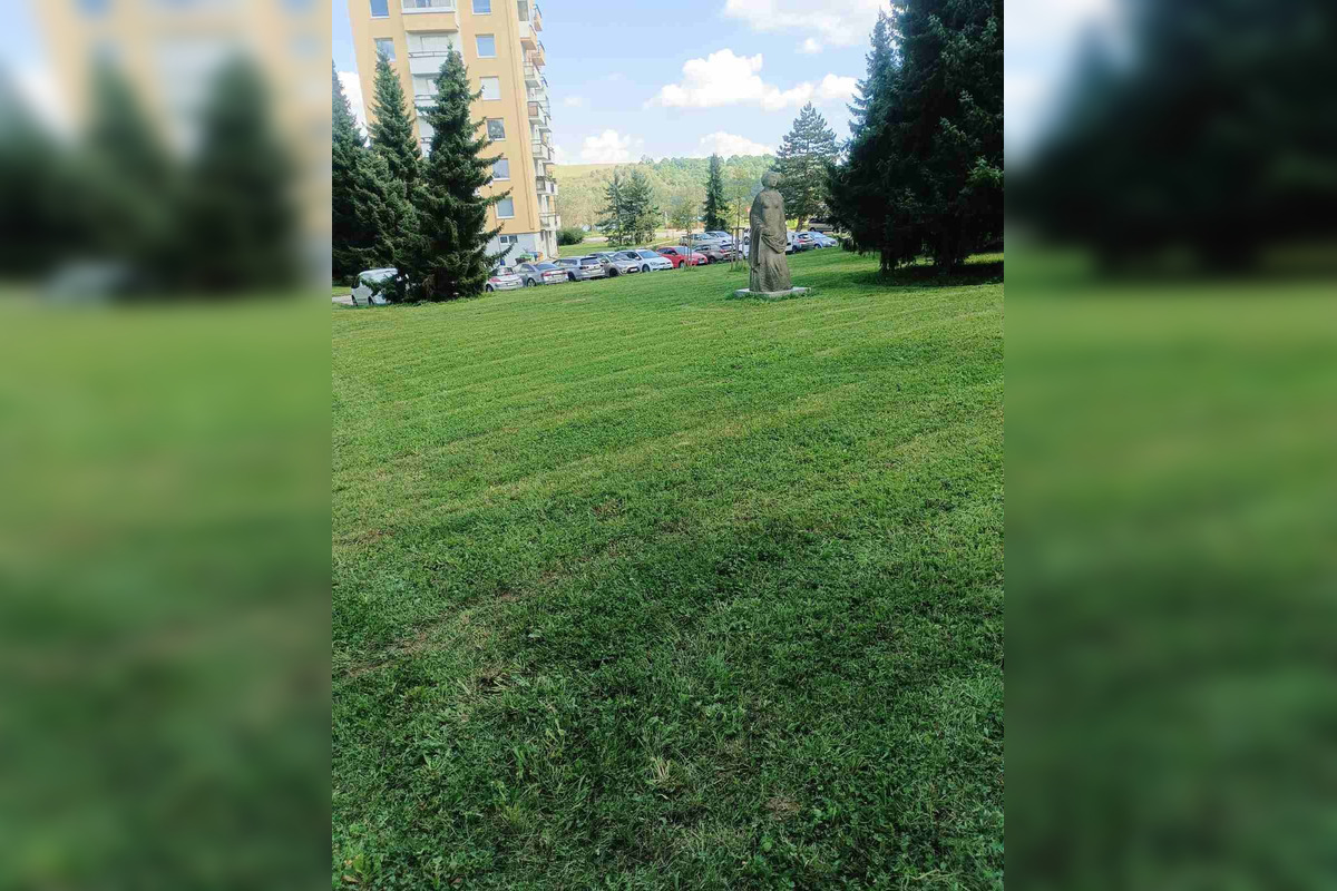 FOTO: Na jednom sídlisku vo Zvolene je pokosené, na inom vysoká tráva. Prečo?, foto 3