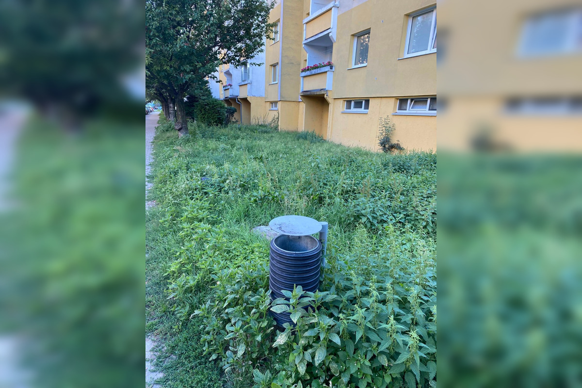 FOTO: Na jednom sídlisku vo Zvolene je pokosené, na inom vysoká tráva. Prečo?, foto 5