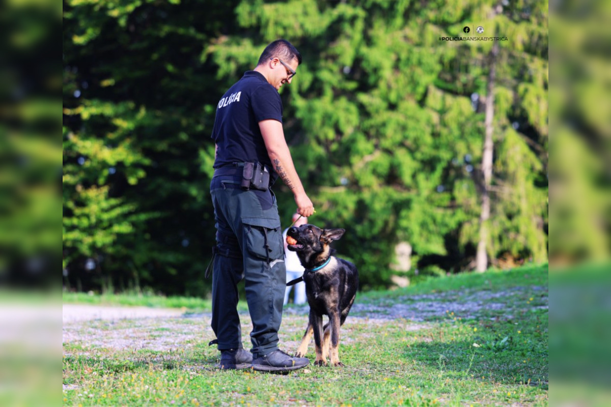FOTO: Pri Banskej Bystrici sa konalo spoločné cvičenie slovenskej a maďarskej polície, foto 3