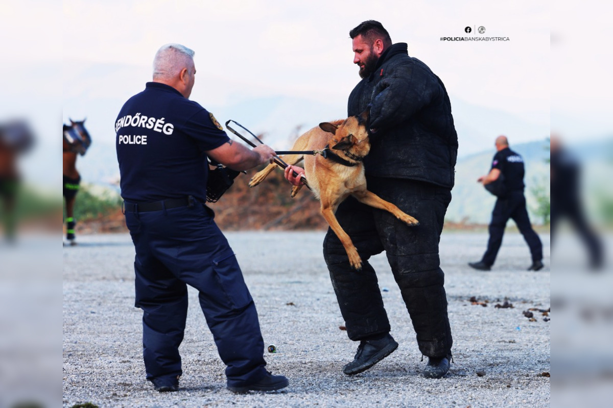 FOTO: Pri Banskej Bystrici sa konalo spoločné cvičenie slovenskej a maďarskej polície, foto 4