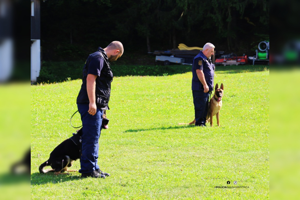 FOTO: Pri Banskej Bystrici sa konalo spoločné cvičenie slovenskej a maďarskej polície, foto 12